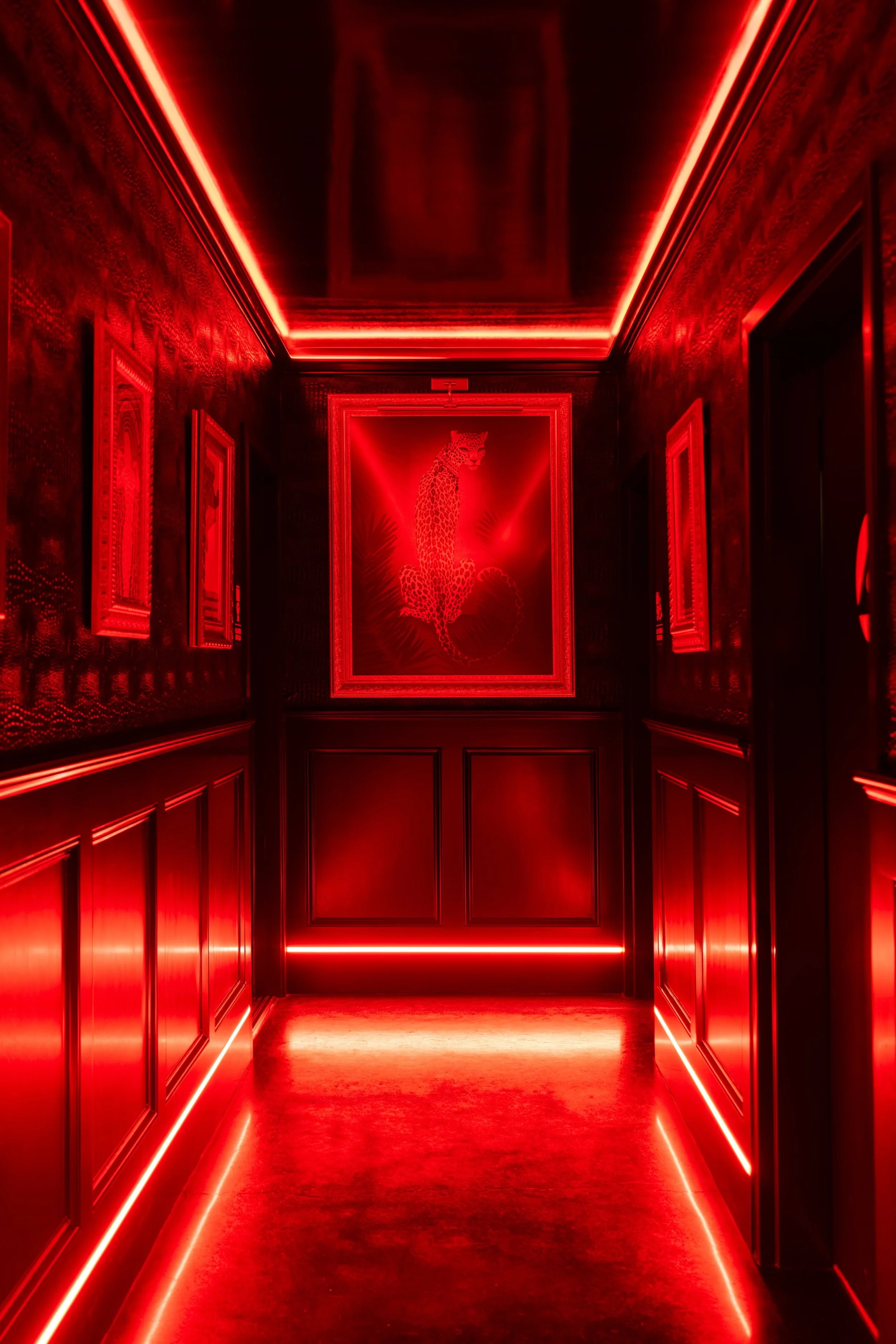 MatrixBar_9-3-2026-20.jpg