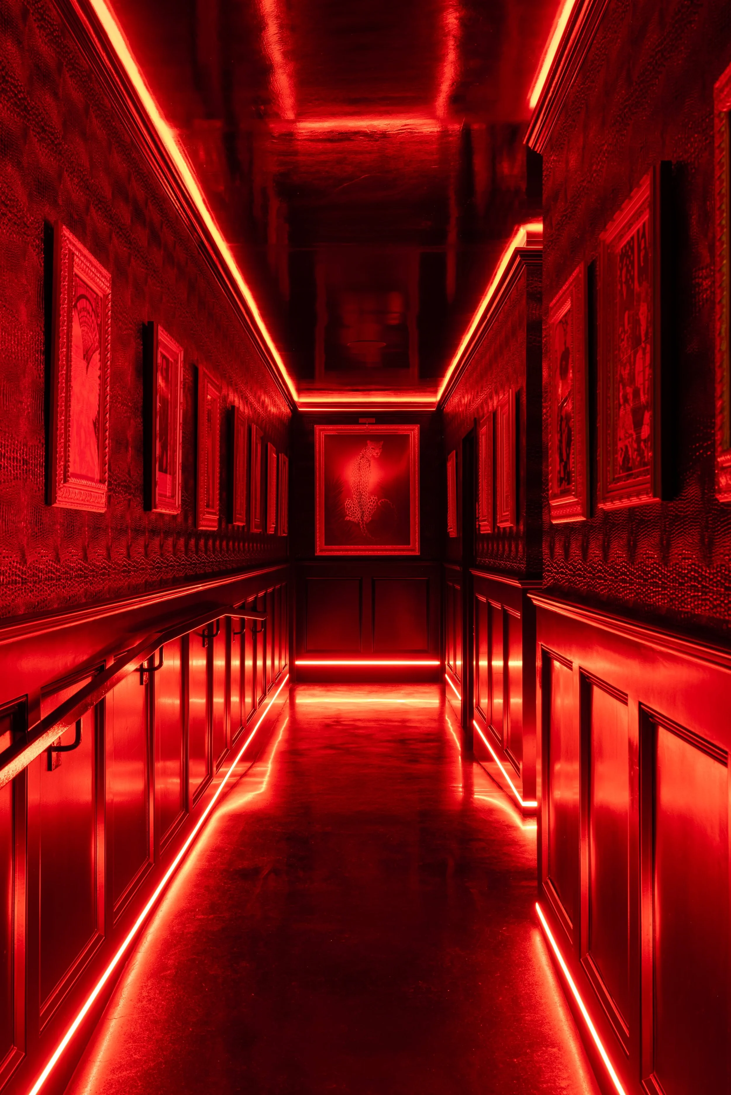 MatrixBar_9-3-2026-19.jpg