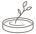 A small plant sprouting in a round pot.