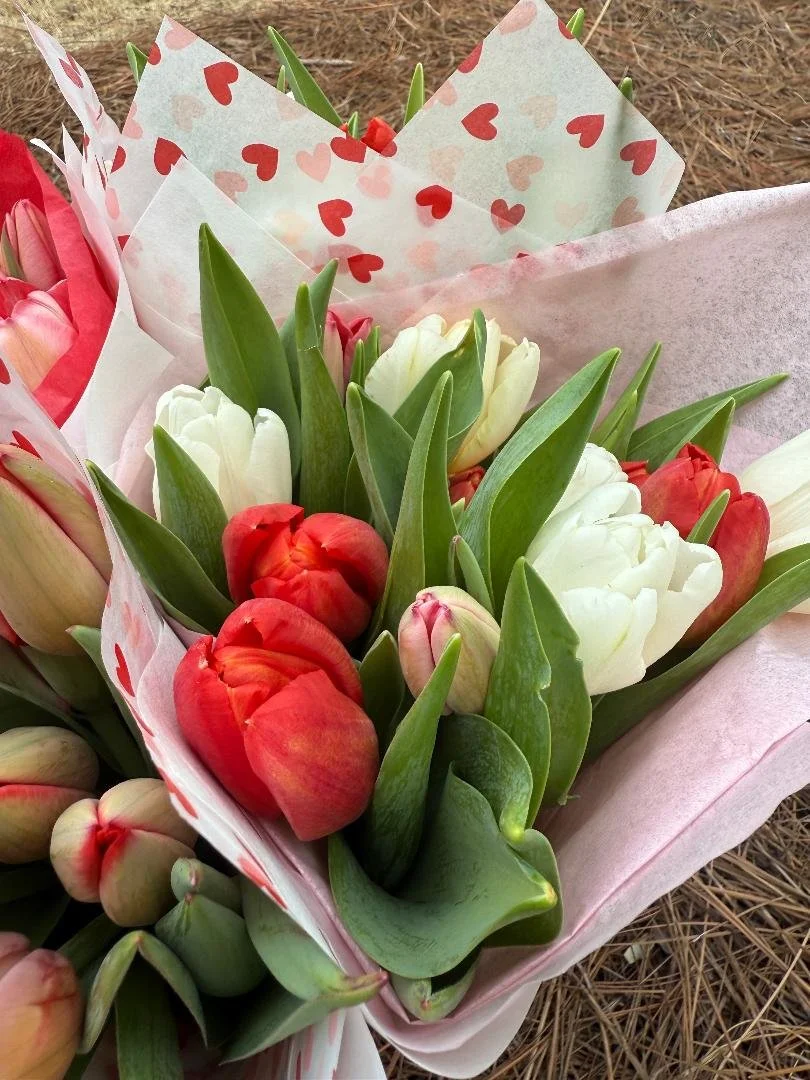 Valentine's Day Tulip Bouquet