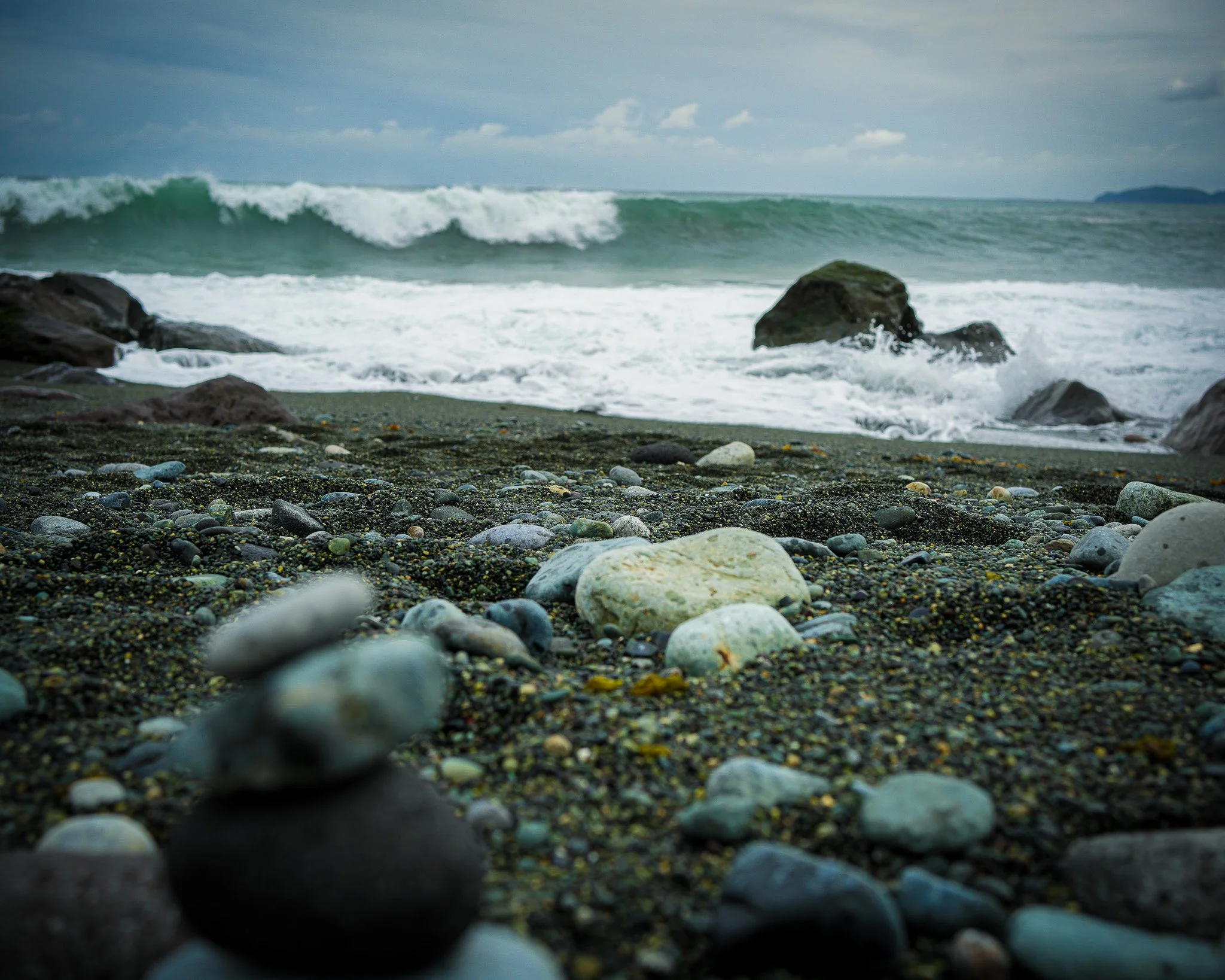 DSC01514-3.jpg