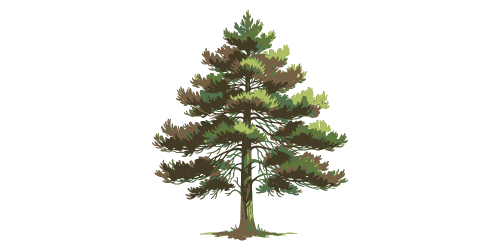 Challenger Landscaping logo