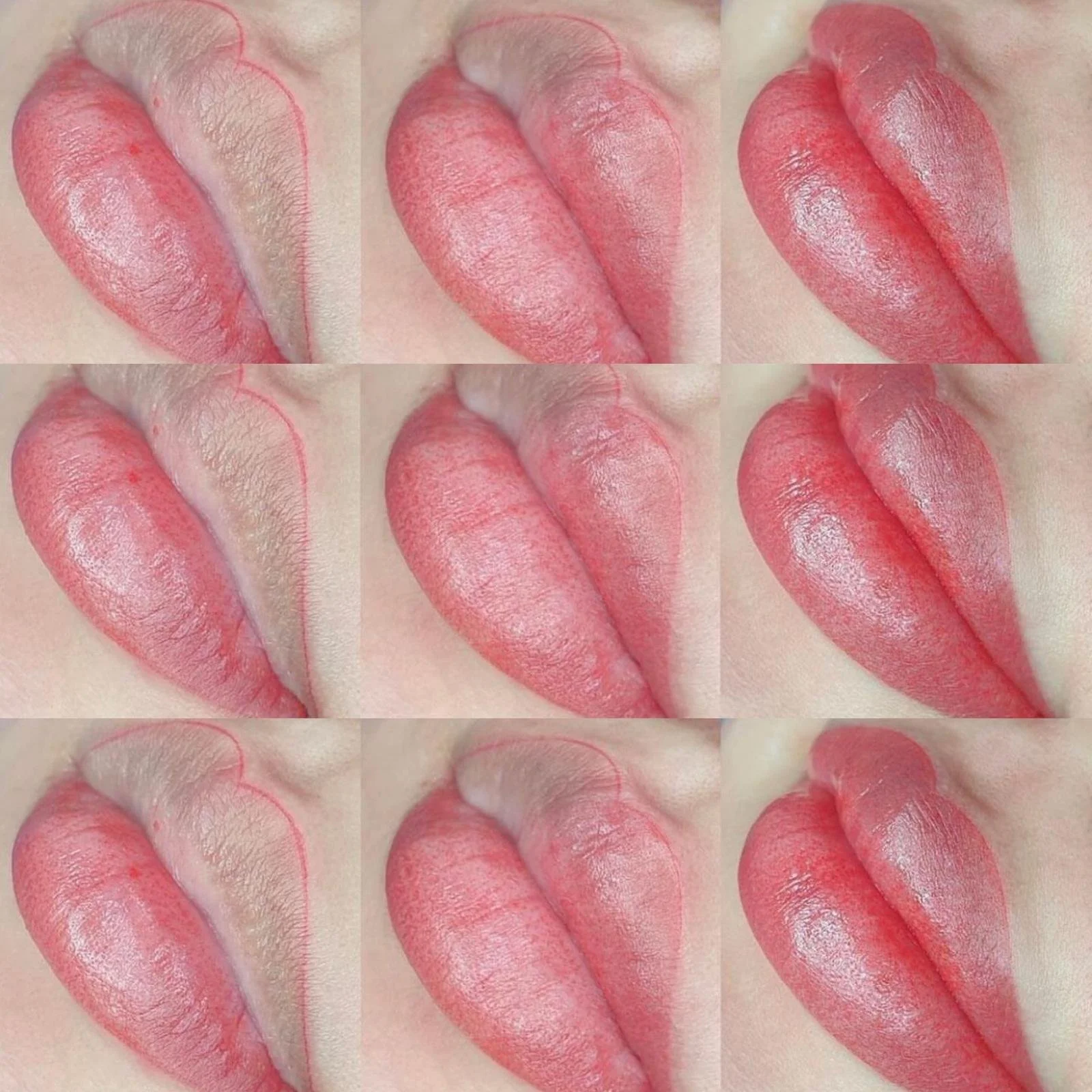 WhatsApp Image 2024-01-24 at 17.23.55.jpeg