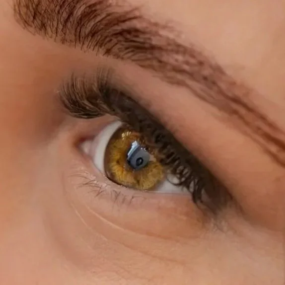 Classic Lashes