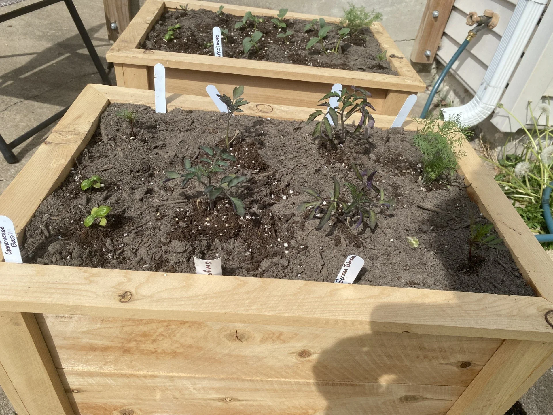 Gardening
