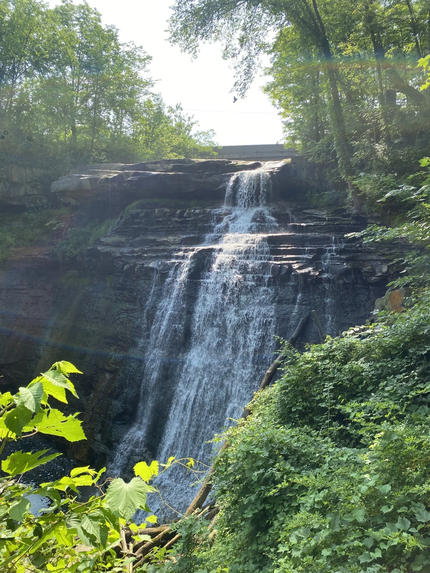 Mindfulness + Nature