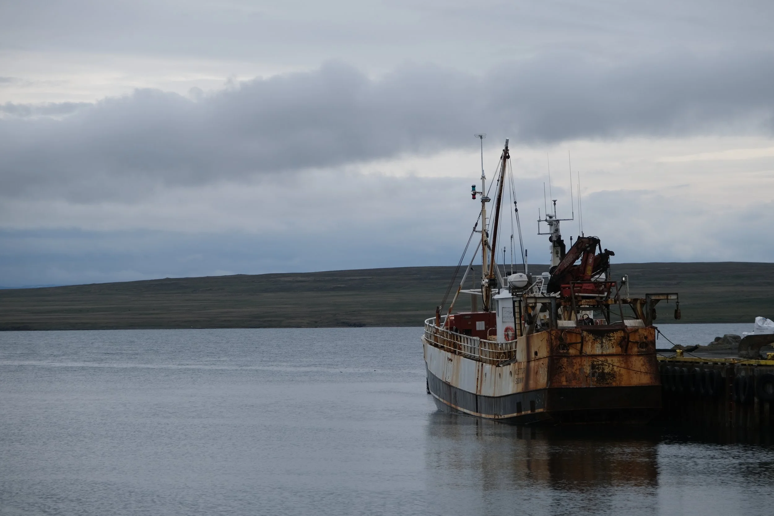 DSCF7794.JPG
