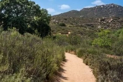 Mompreneur Magic Hike