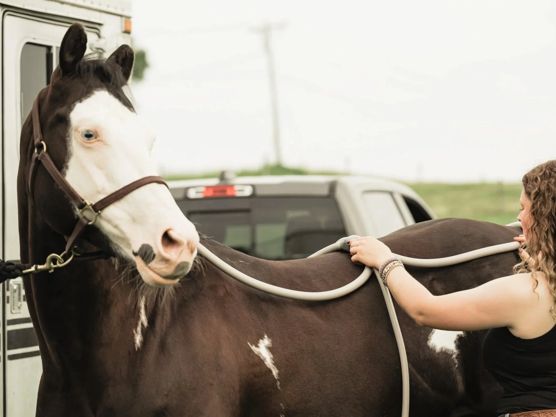 A woman with curly hair in black clothing applying a medical or therapeutic device to a horse's back, with the horse standing calmly beside her.