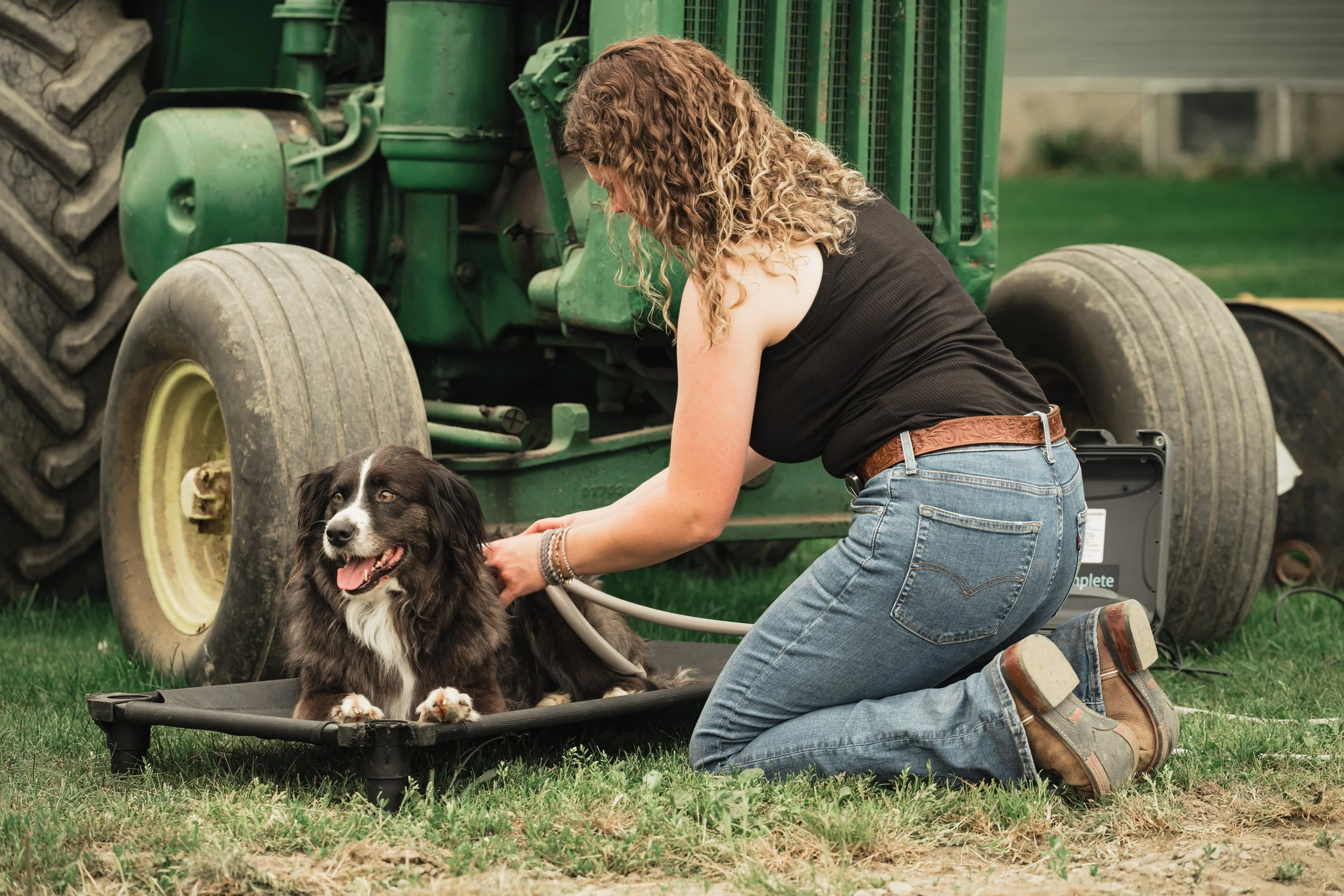 A woman kneeling on the grass petting a dog, which is lying on a small black platform, with farm equipment in the background.