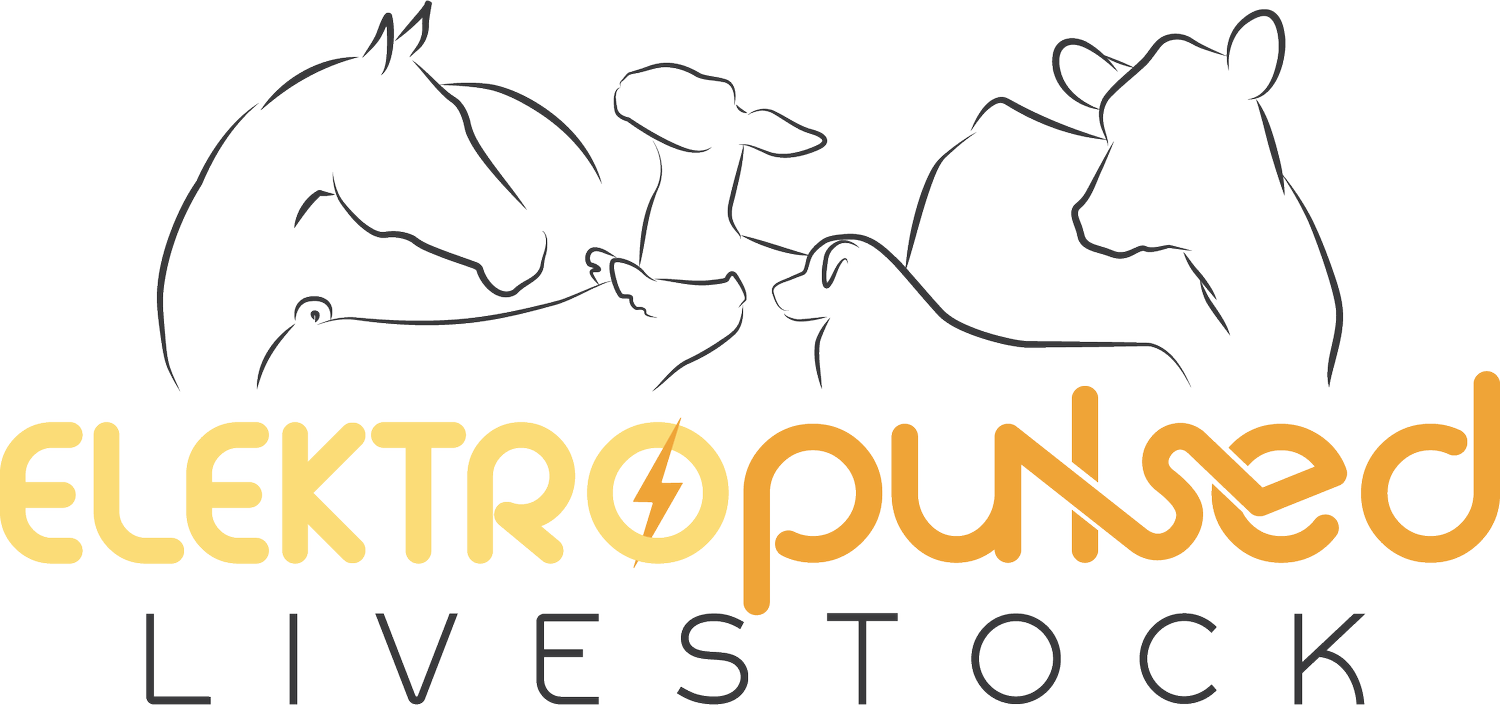 Elecktropulsed Livestock