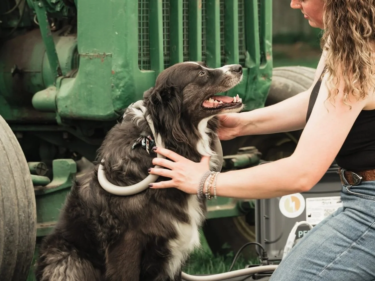 A woman petting a happy dog with a harness, outdoors near a green tractor.