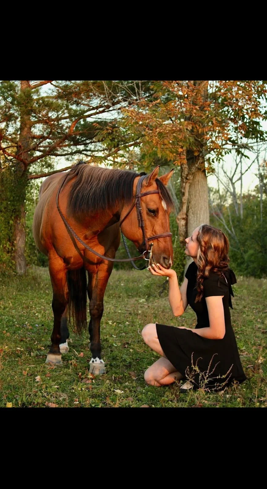 “With each PEMF session, my horse’s lameness improved and her movement became more relaxed and free.”
