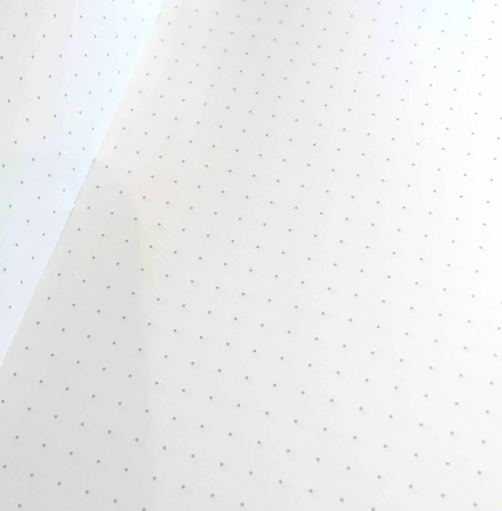 FNC-17-Expedition-Dot-Graph-Paper.jpg