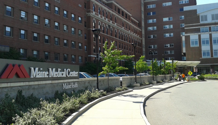 Digital Health Startups