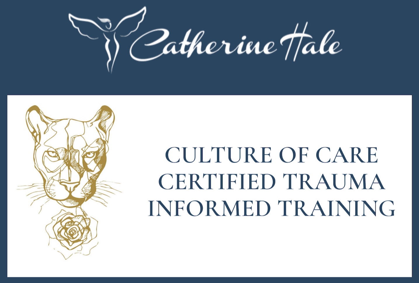 Trauma informed training