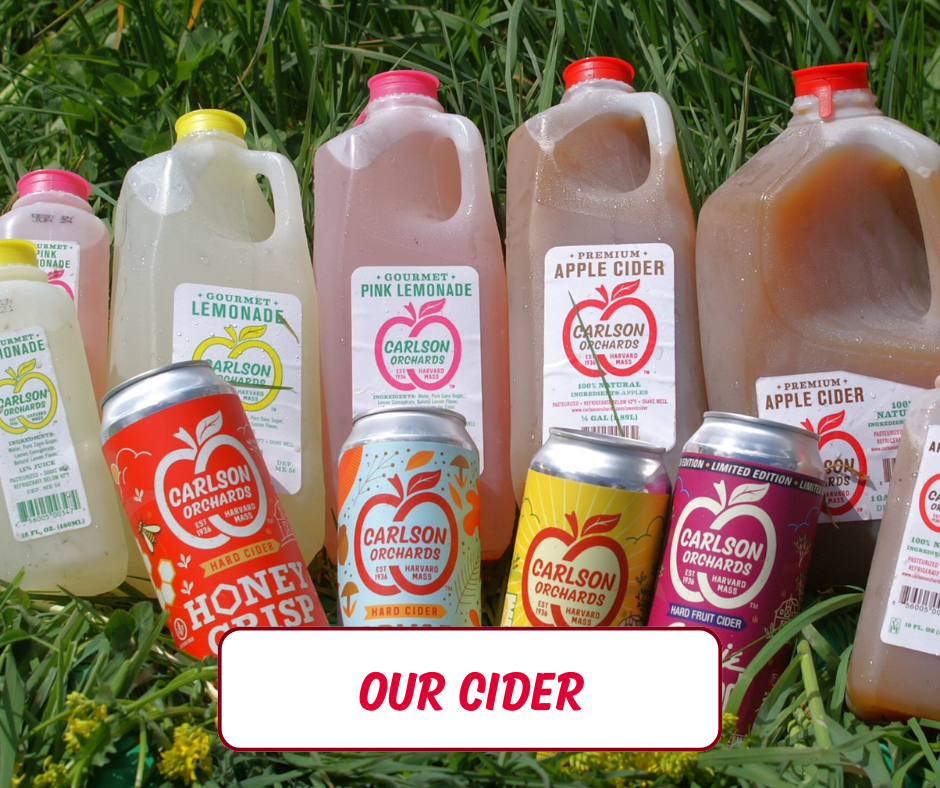 Our Ciders