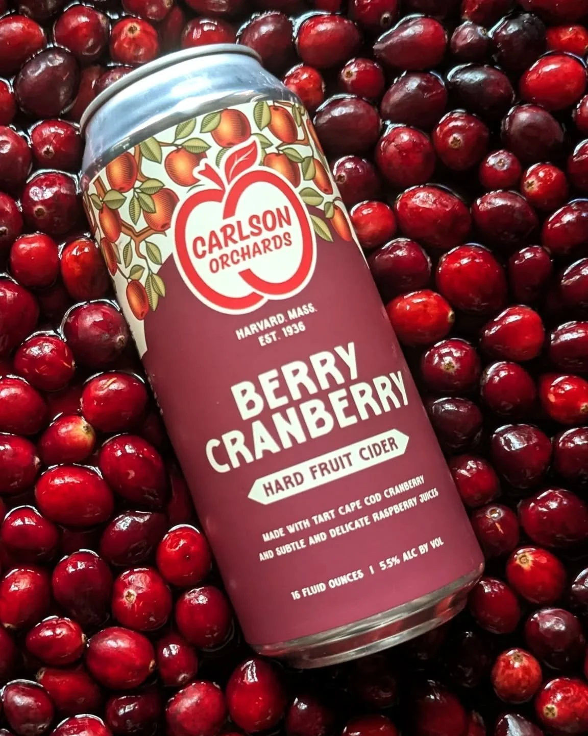 Bring some cheer to your holiday table with our Berry Cranberry Hard Cider! It&rsquo;s the perfect mix of tart cranberries, sweet raspberry, and a touch of honey&mdash;crisp, bright, and seriously delicious. 
Plus, did you know hard cider was a daily
