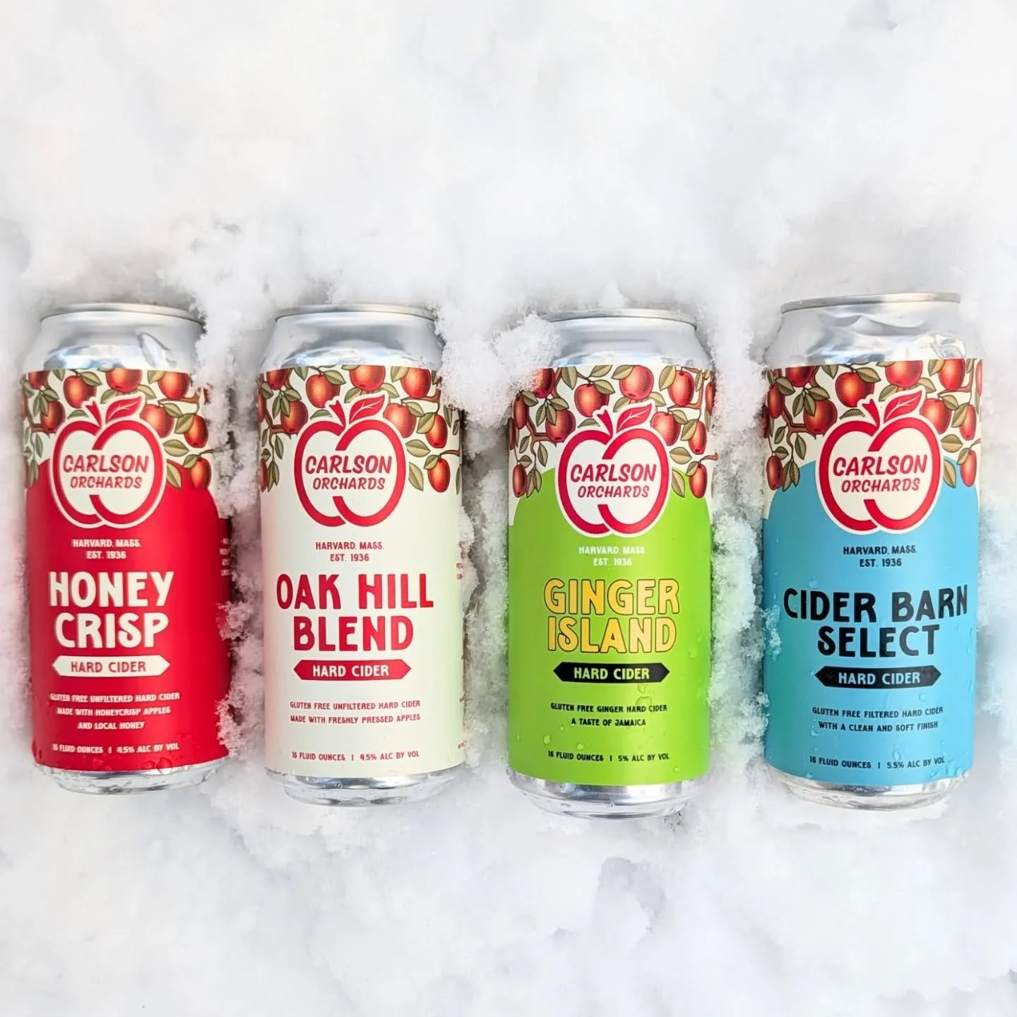 Surviving winter?
Same.

Meet the Ginger Island Variety Pack, now on shelves. Four styles, 2 cans of each, all doing their best to brighten (and warm up) the coldest winter days.

Tropical energy. Winter conditions. No complaints.