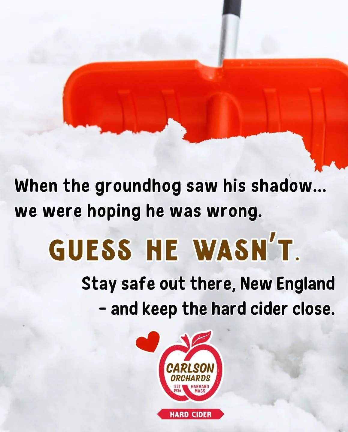 Bold move, groundhog. Bold. Move. You saw your shadow and said, "let's send a nor'easter." We see you chose violence. 

New England, you know the drill - stay safe, stay warm, and pour something appley while we ride this one out. 🍎
