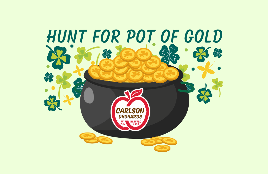 Hunt for Pot of Gold