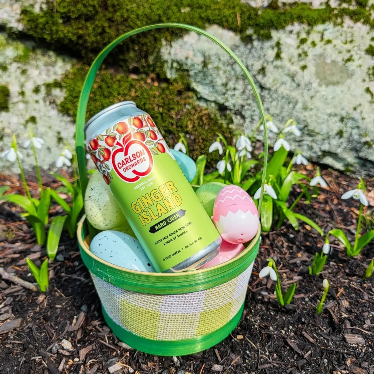 However you&rsquo;re celebrating this weekend&mdash;Easter, Passover, or simply the start of spring&mdash;don&rsquo;t forget the finishing touches.

Our Ginger Island Hard Cider is a bright, refreshing addition to any gathering.

#SpringGatherings #E