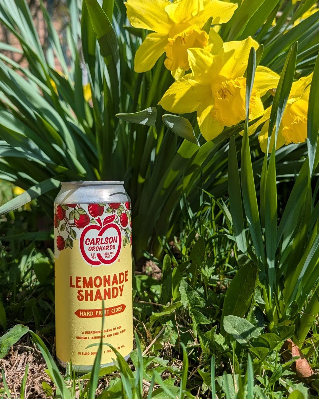You asked&hellip; we listened.

Lemonade Shandy is BACK.
Bright citrus meets crisp apple in this easy-drinking favorite&mdash;crafted for warm days, long nights, and everything in between.

Keep an eye out&hellip; it&rsquo;s popping up on shelves nea