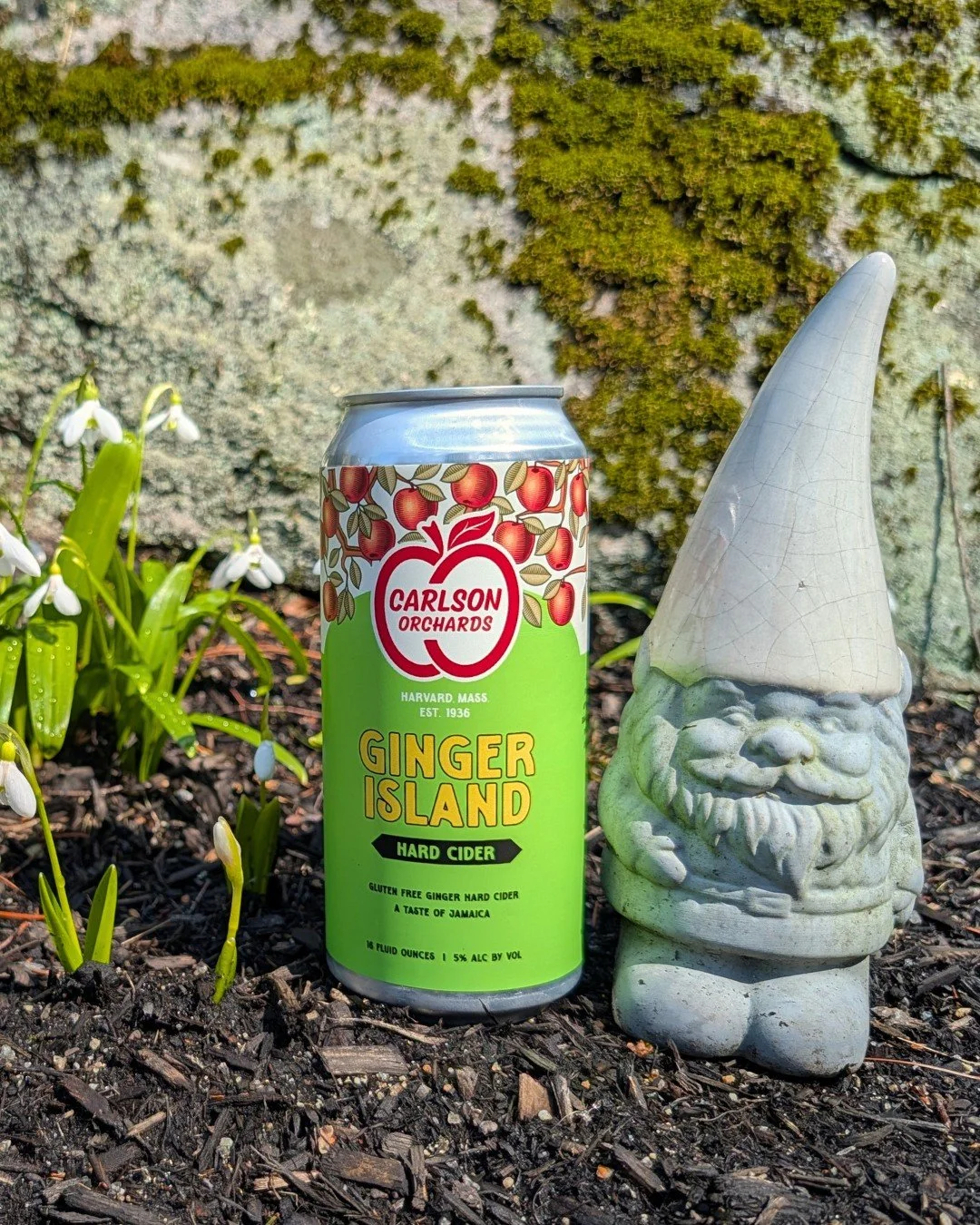 Final call for Ginger Island. 

Time to say goodbye (for now) to this seasonal favorite.

Crafted as a nod to the Jamaican guest workers who return to our farm each year, this cider blends ginger juice and raw demerara sugar into a warm, spiced expre