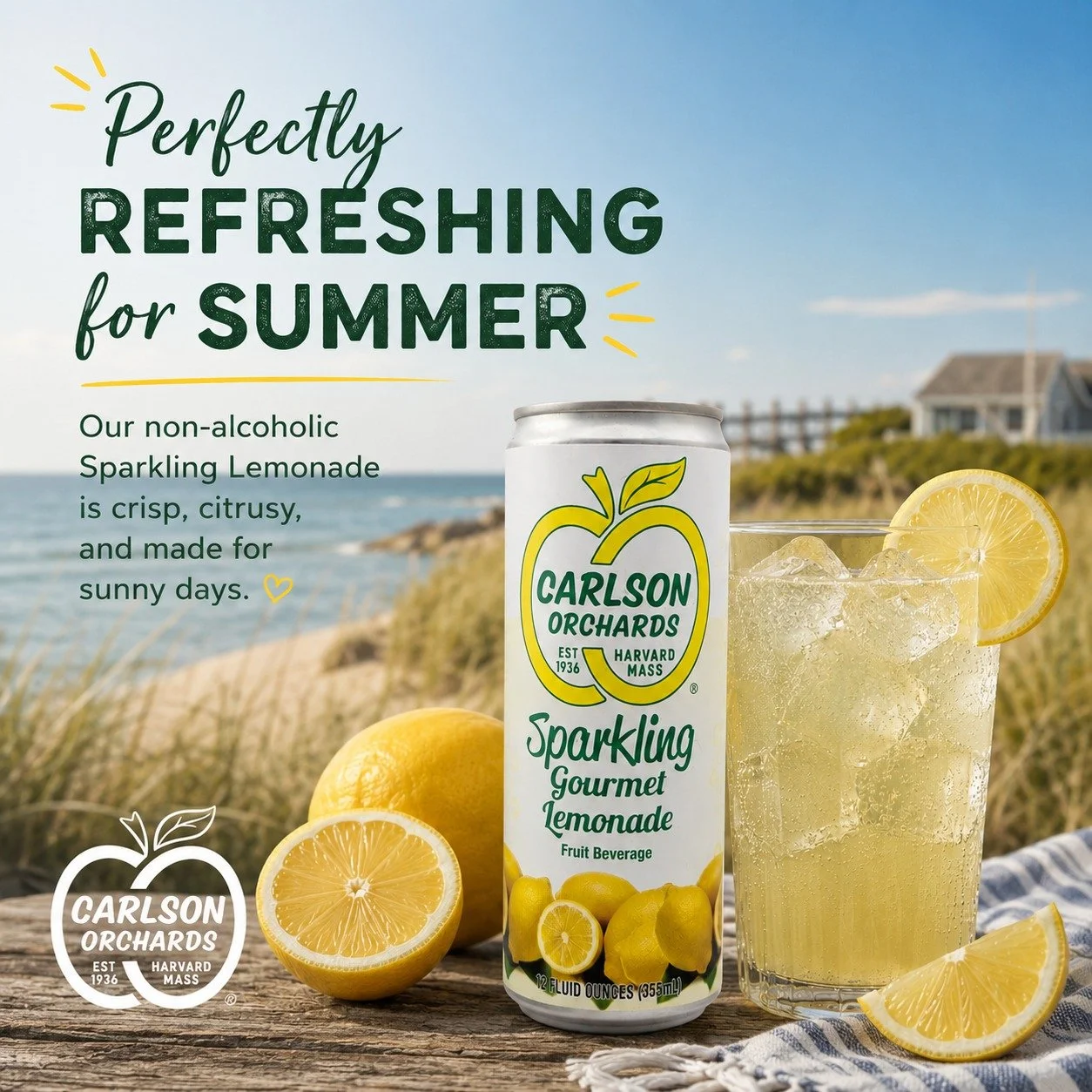 Plot twist: We're not just a hard cider company.

Introducing our Sparkling Gourmet Lemonade is crisp, bubbly, non-alcoholic, and made for summer. Whether you're headed to the beach, the backyard, or just looking to cool off, we've got your new favor