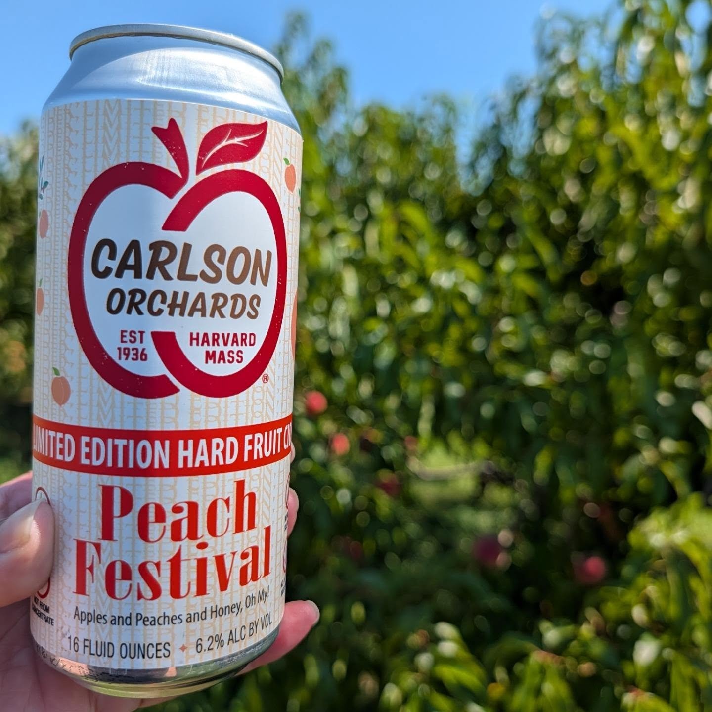 It&rsquo;s a beautiful day for the Peach Festival at Carlson Orchards!

Come spend the weekend with us enjoying peach picking, wagon rides, live music, local vendors, great food, and plenty of summer fun around the farm.

And while you&rsquo;re here,