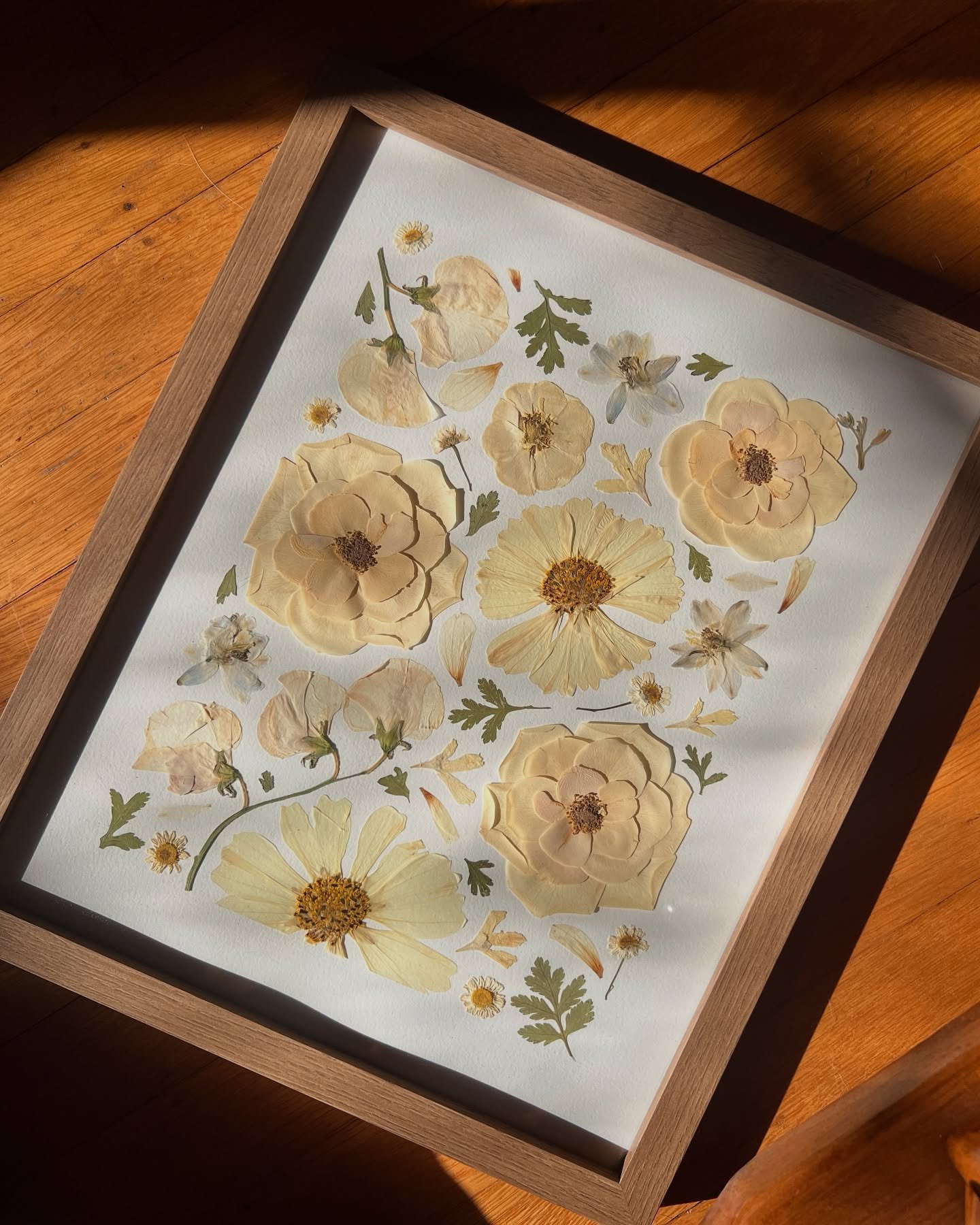 Stunning white bouquet delicately preserved for Ellen 🤍

One of my favorite things about white bouquets is how they deepen in color to an antique ivory and butter yellow during the preservation process. This allows for a subtle contrast on our white