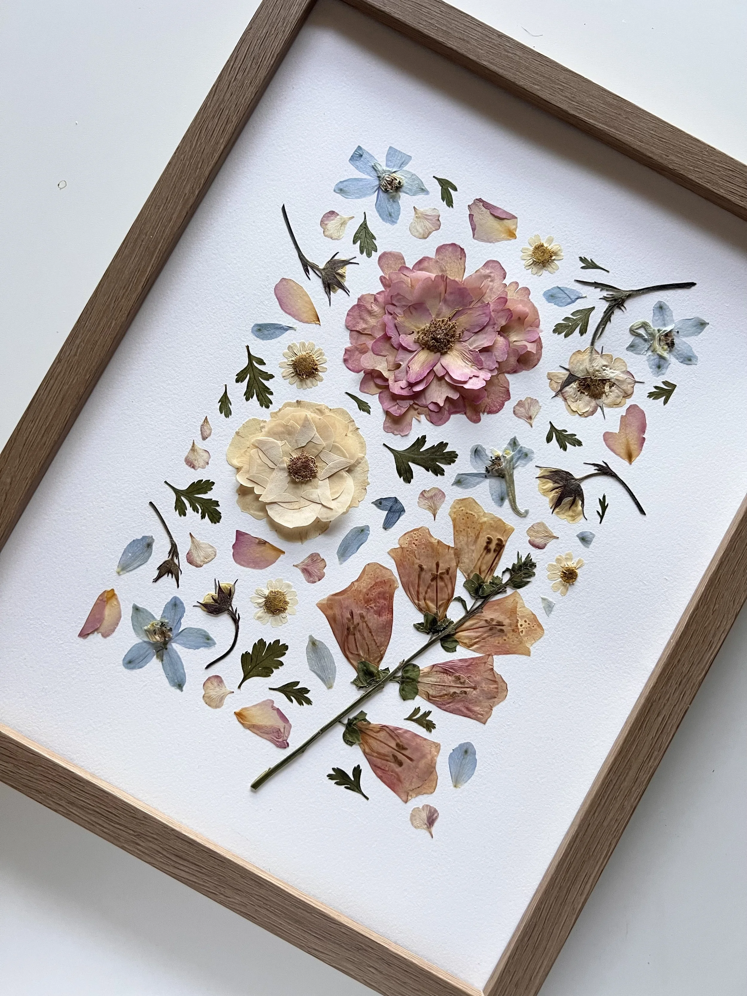 FullSizeRender 14.jpeg