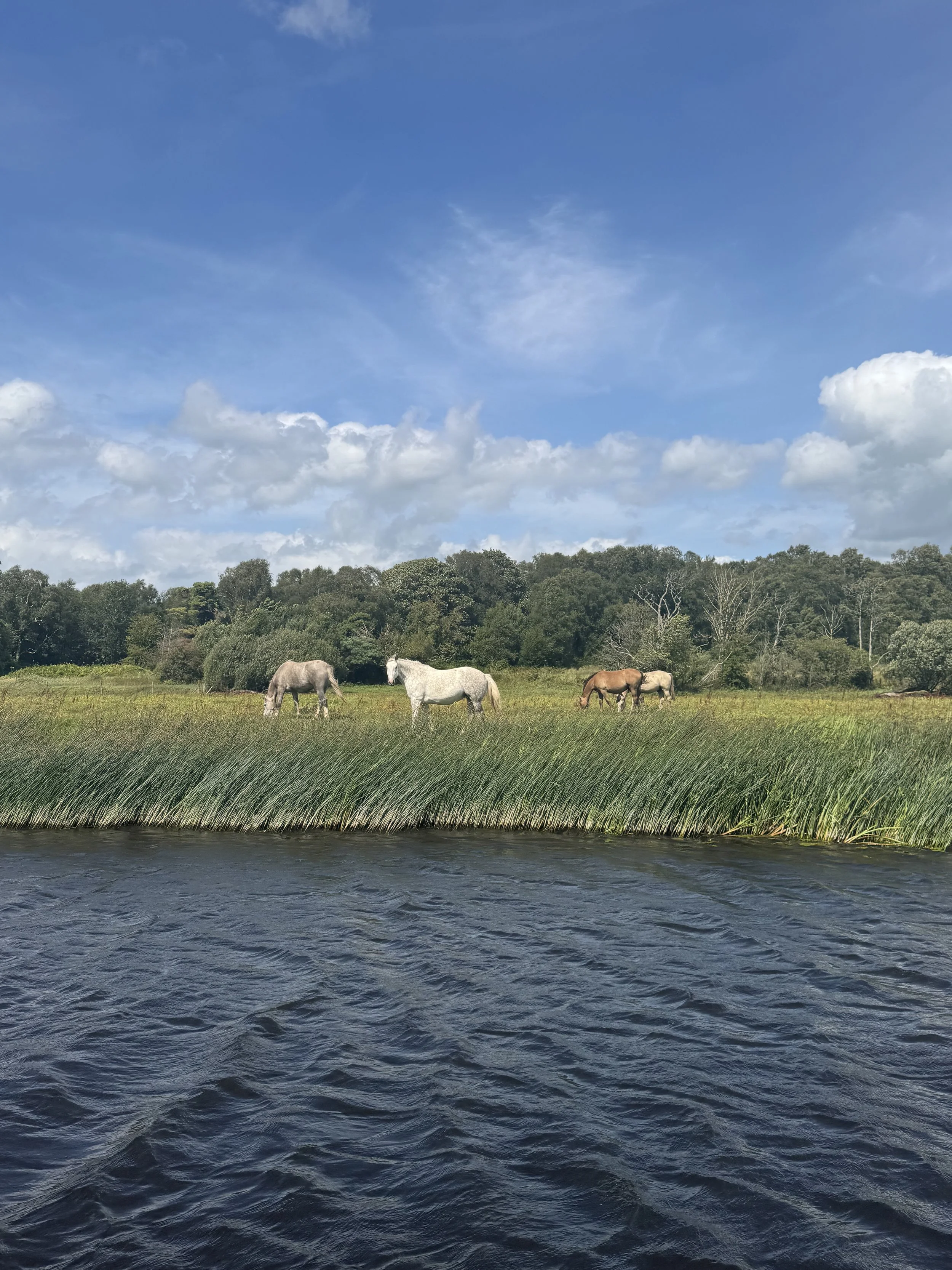 Ireland