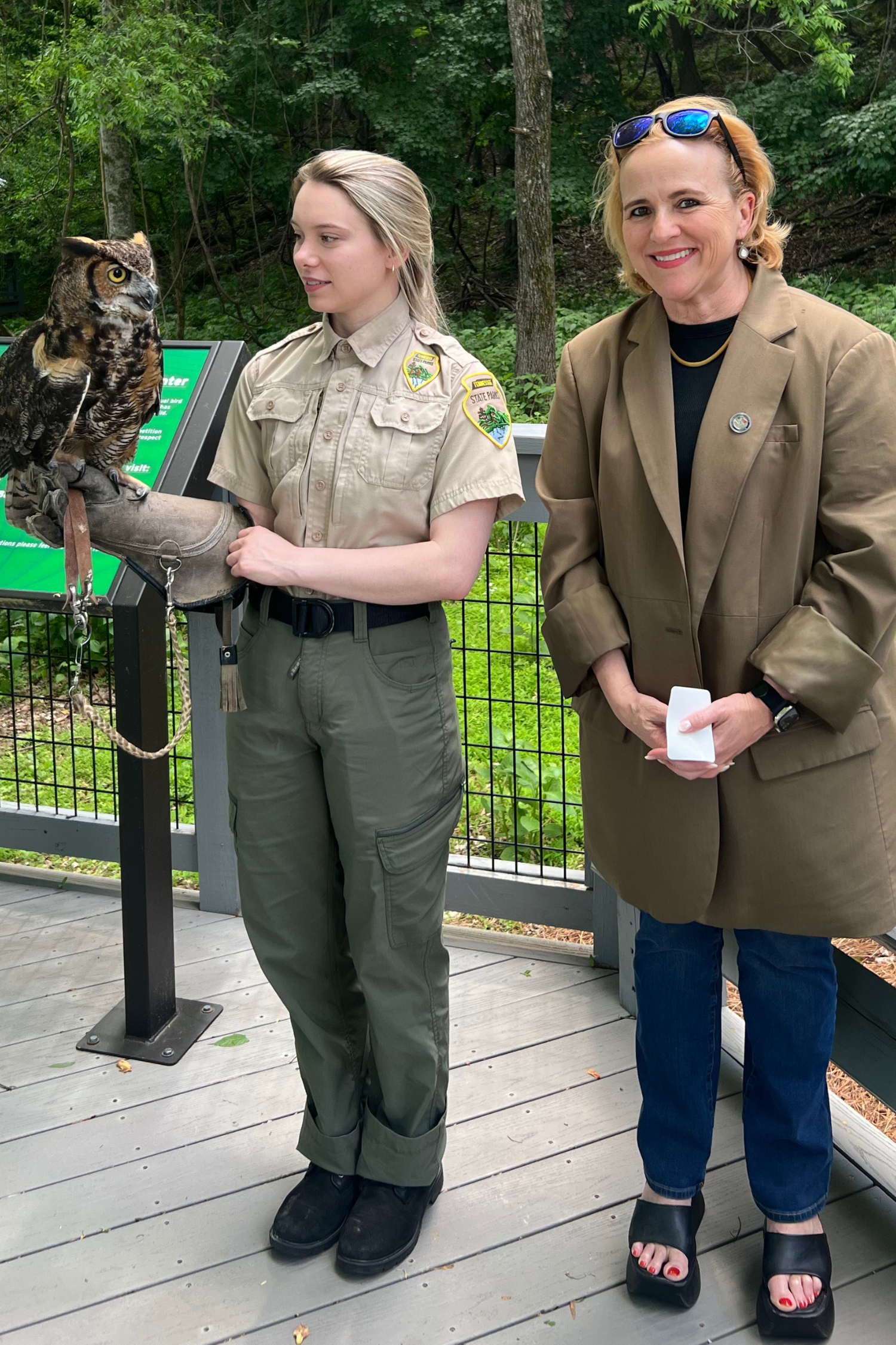 HC & Radnor Owl.png