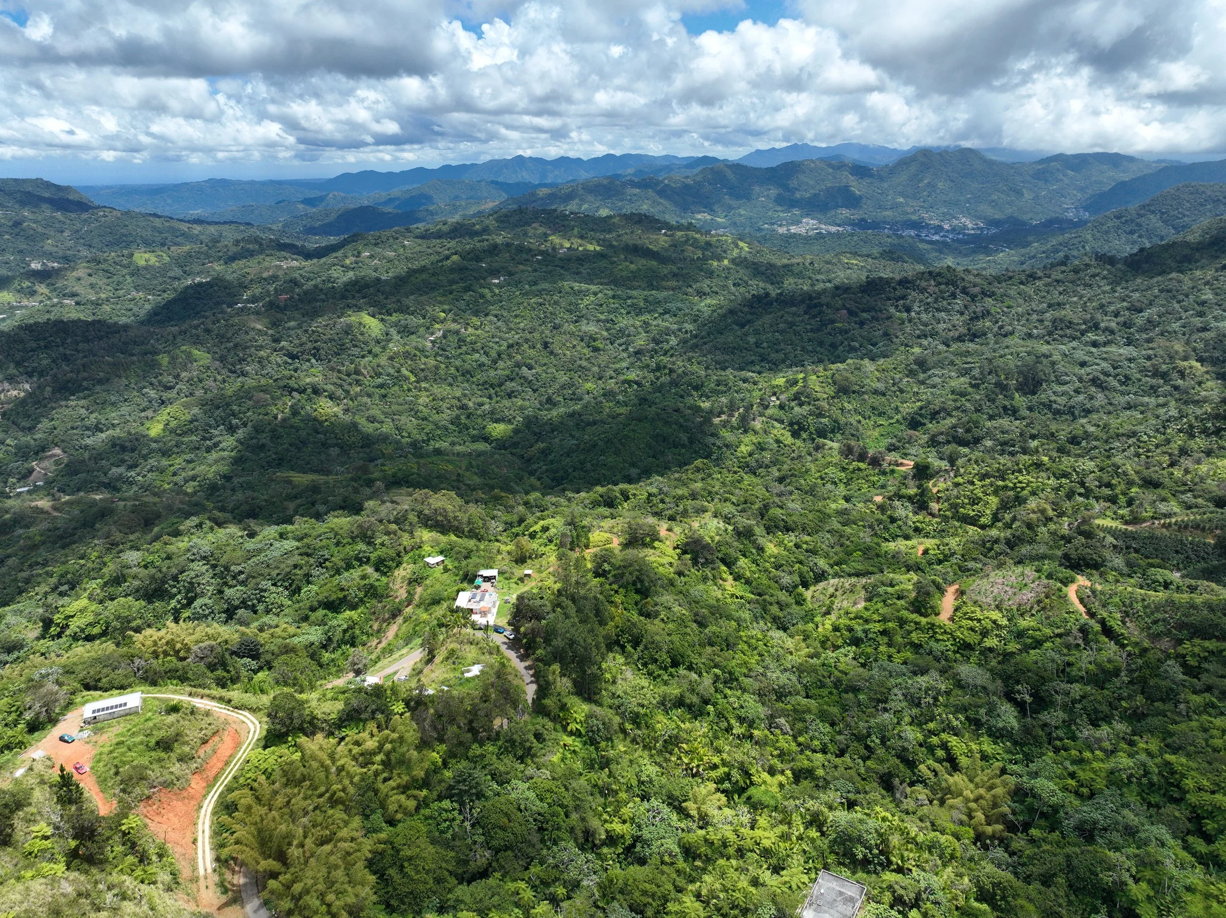dji_fly_20260412_115734_263_1776009684688_photo.jpeg