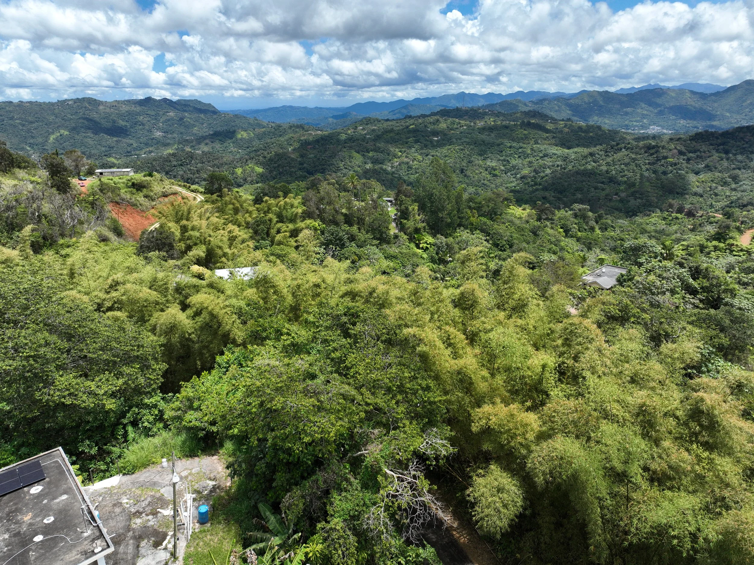 dji_fly_20260412_115632_256_1776009775361_photo.jpeg
