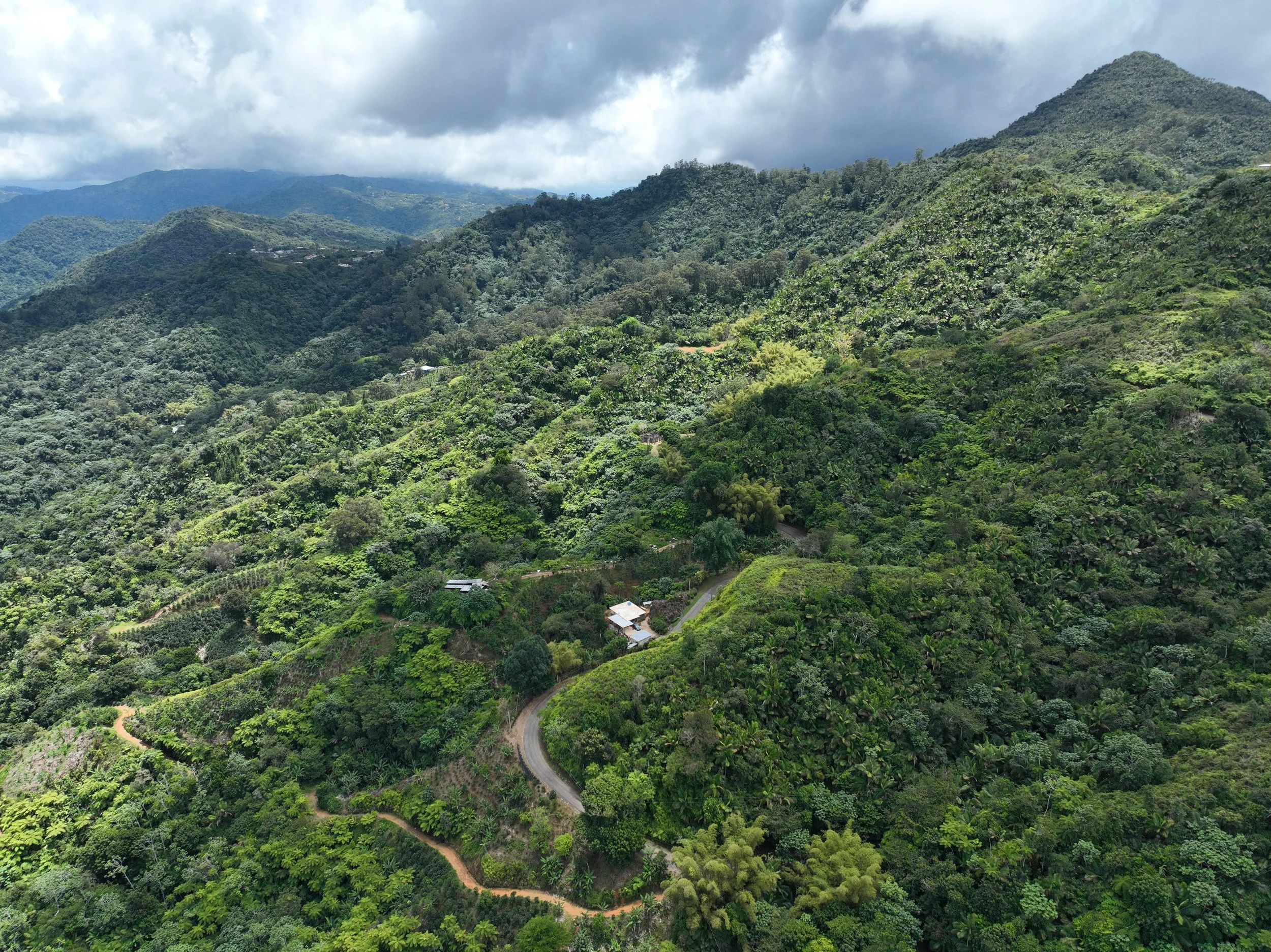 dji_fly_20260412_115744_265_1776009691467_photo.jpeg