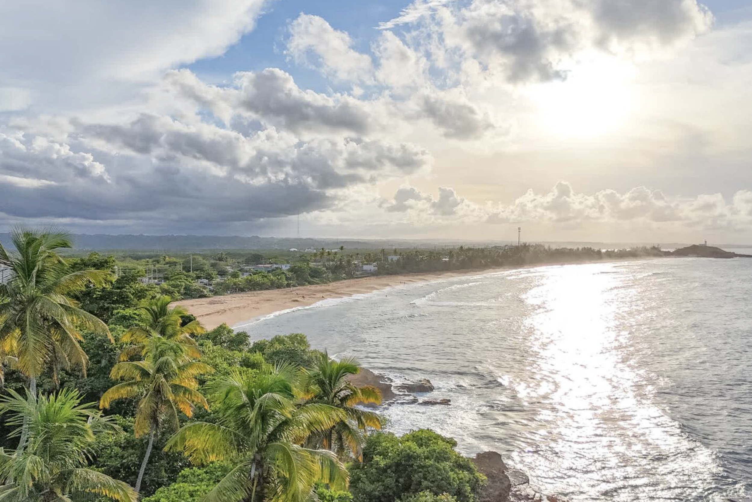 Screenshot 2026-01-29 at 11.46.36 AM.png