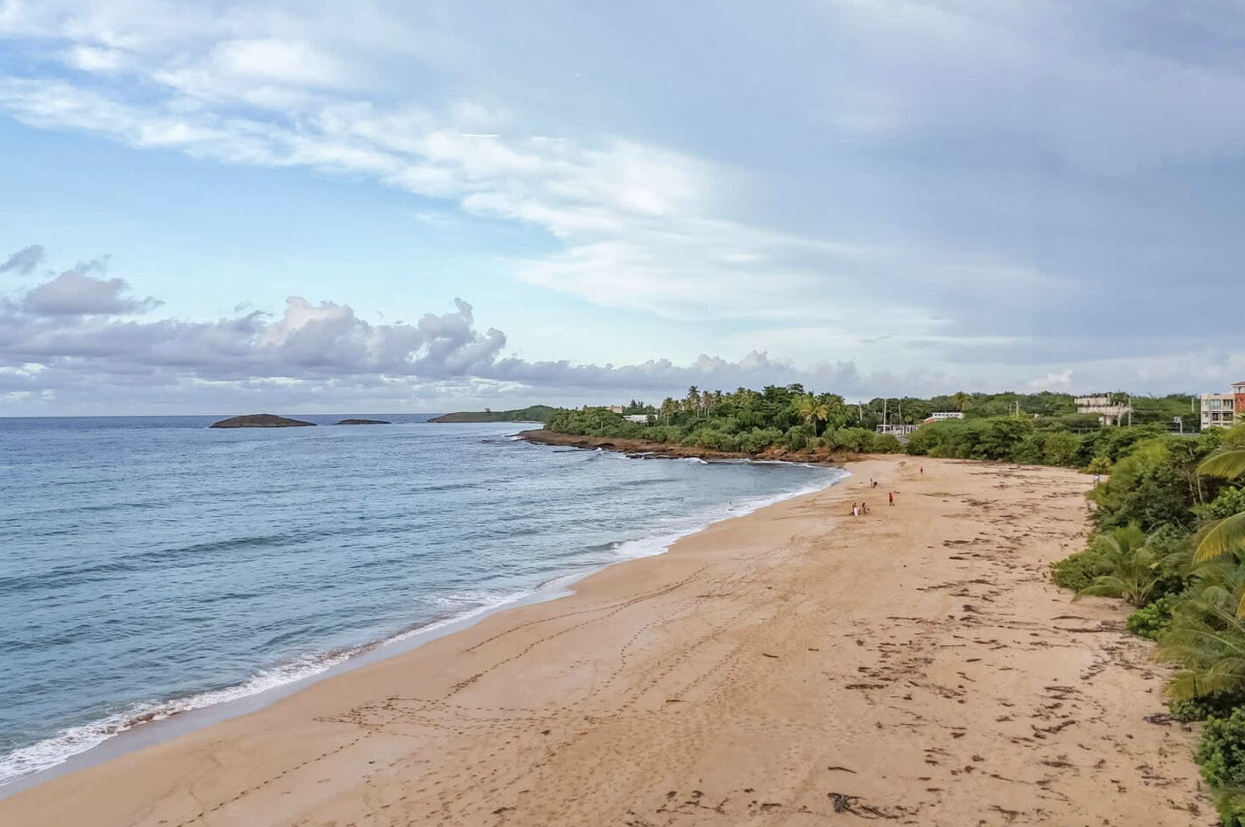 Screenshot 2026-01-29 at 11.47.26 AM.png