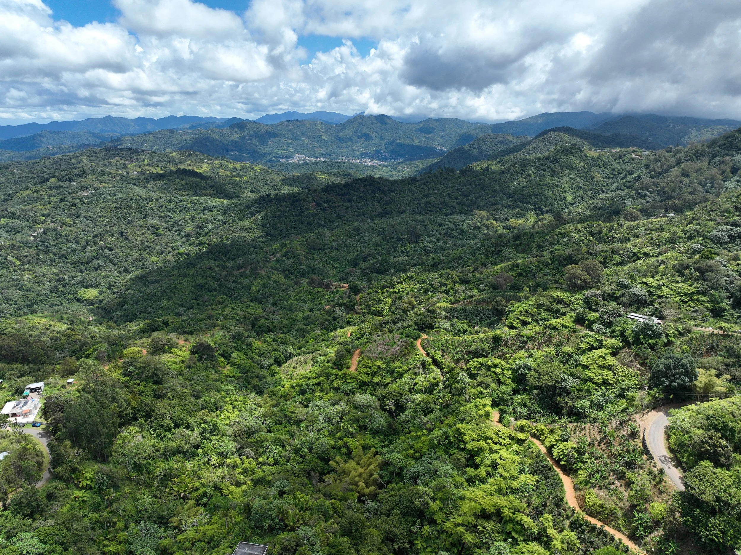 dji_fly_20260412_115326_247_1776009727896_photo.jpeg