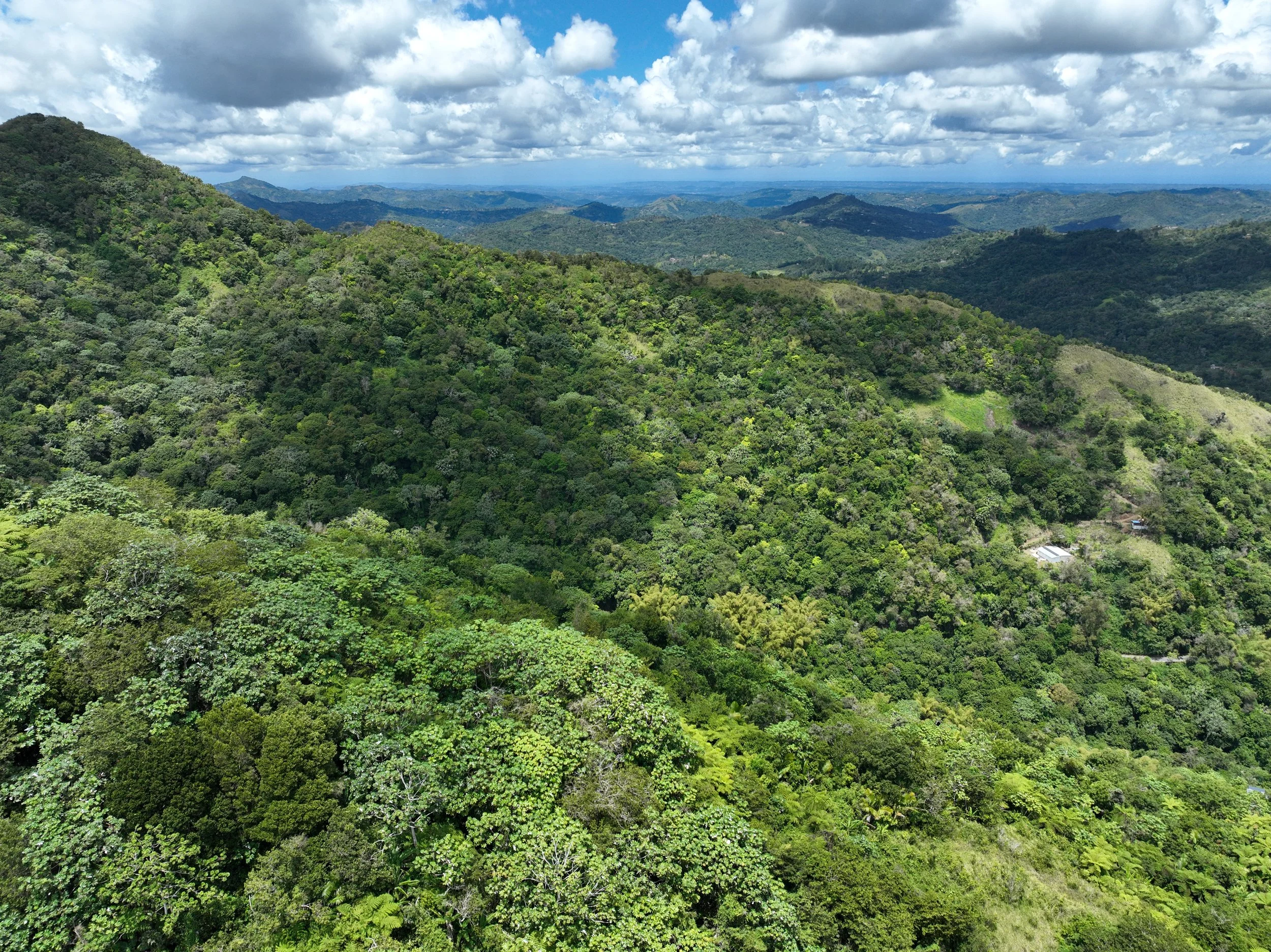 dji_fly_20260412_115726_261_1776009702576_photo.jpeg