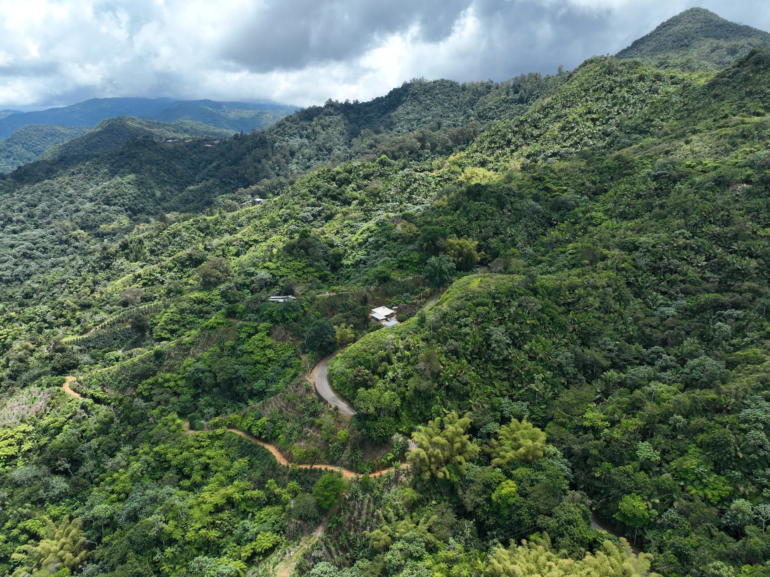 dji_fly_20260412_115736_264_1776009687973_photo.jpeg