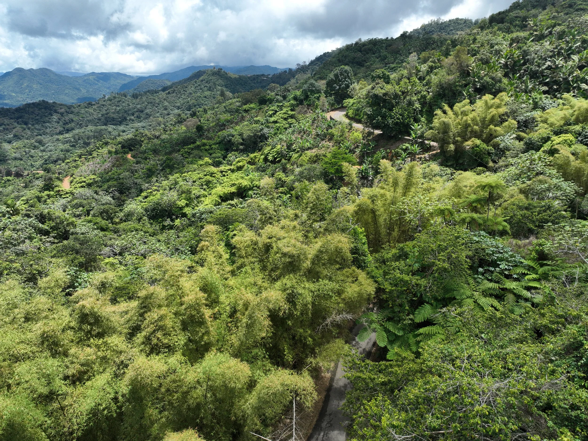 dji_fly_20260412_115634_257_1776009771824_photo.jpeg