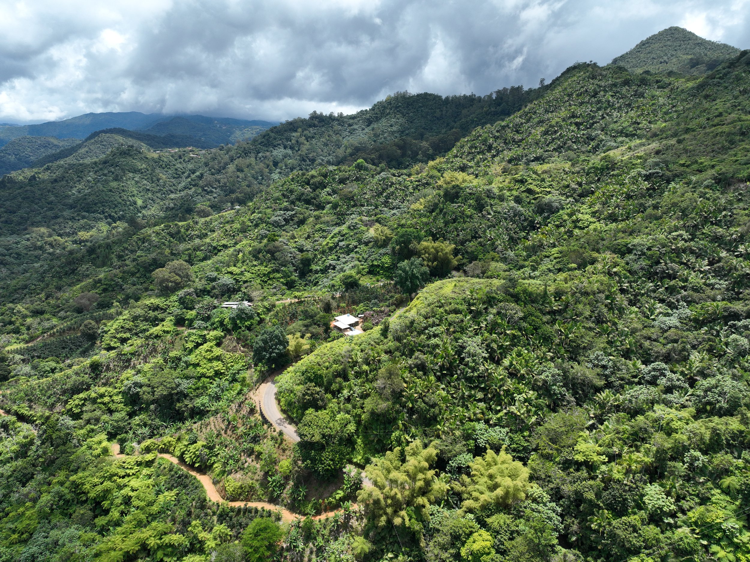 dji_fly_20260412_115324_246_1776009731528_photo.jpeg