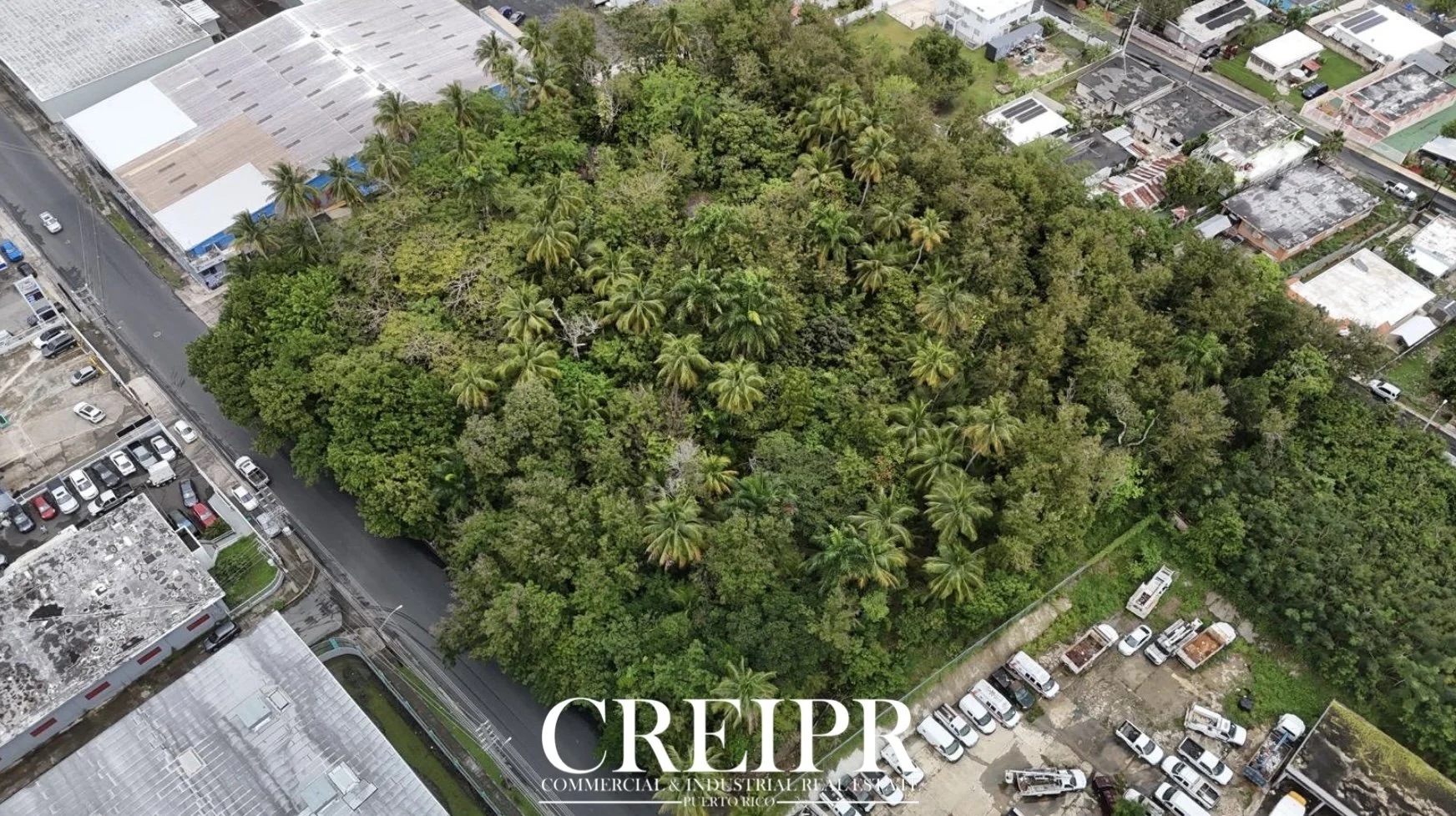 Ave. Simon Madera | Land Lot - For Sale