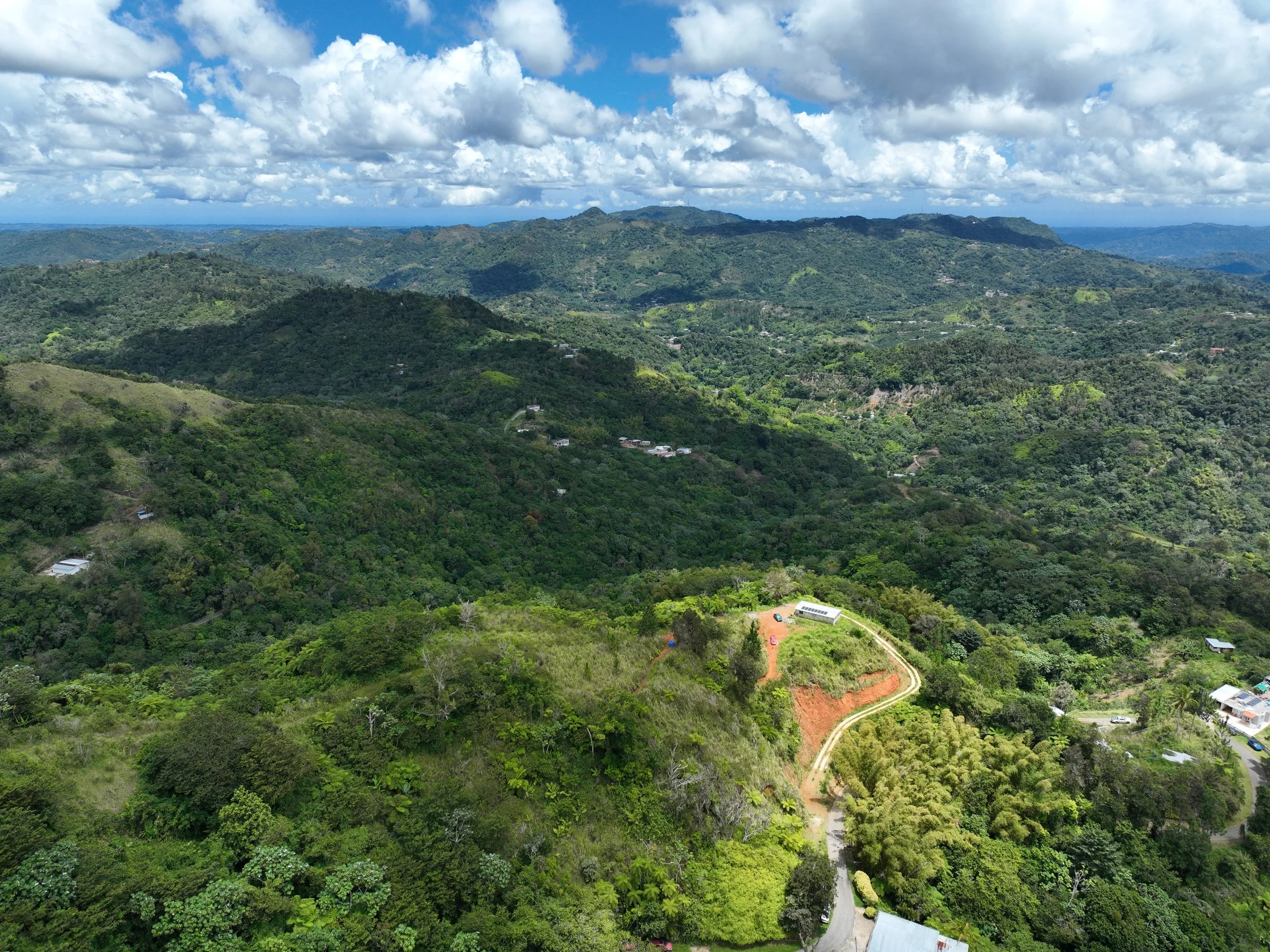 dji_fly_20260412_115328_248_1776009767947_photo.jpeg
