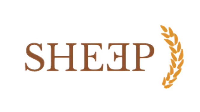 Sheep_Collection_Logo.png
