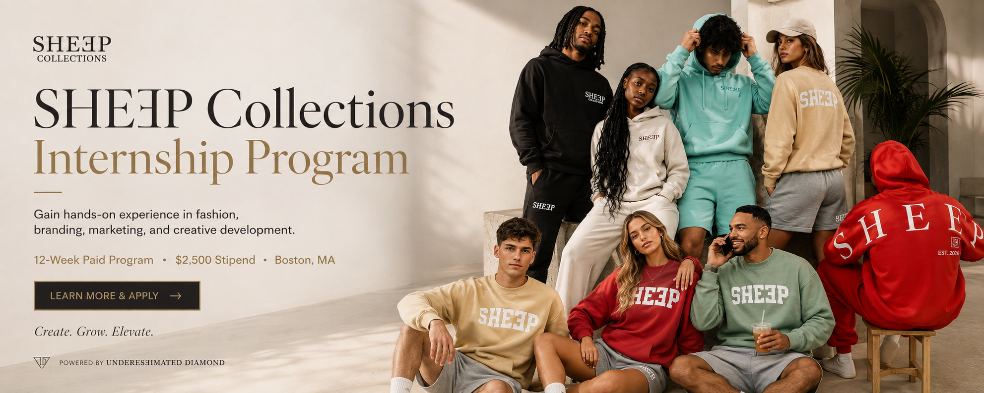SHEƎP Collections Internship Campaign.png