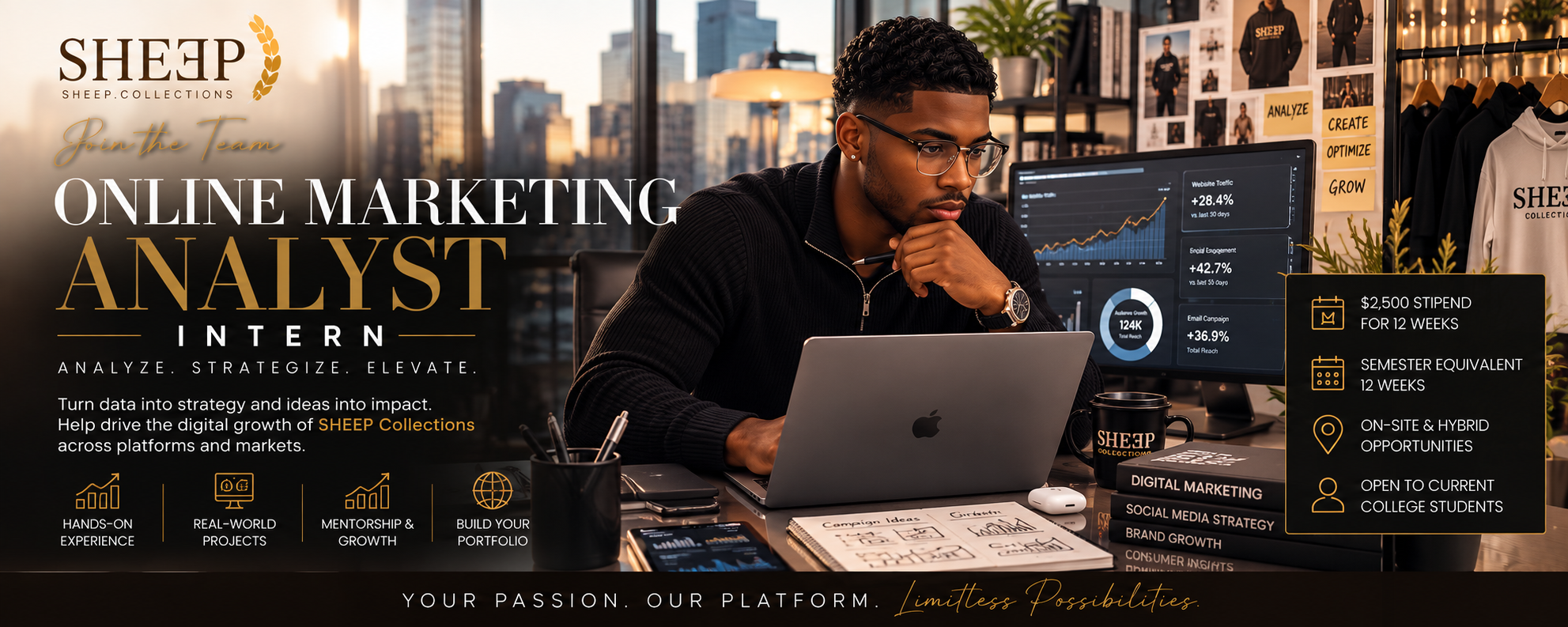 Online Marketing Analyst Intern Banner.png