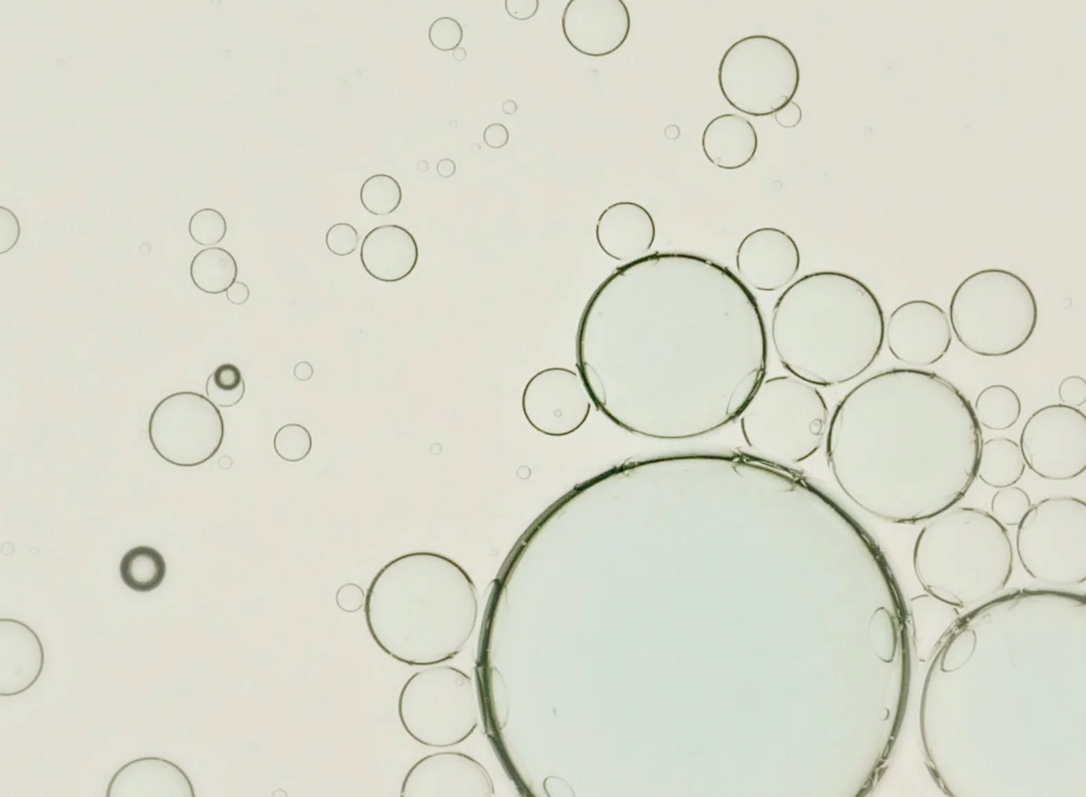 A macro shot of green and blue bubbles of varying sizes floating in liquid.